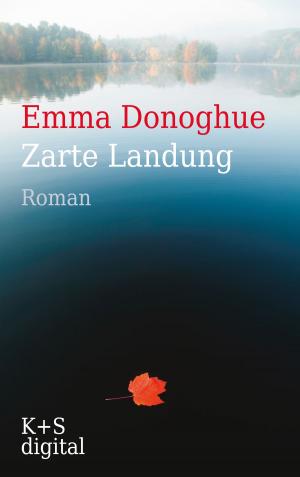 Cover of the book Zarte Landung by Victoria Ramstetter, Andrea Krug