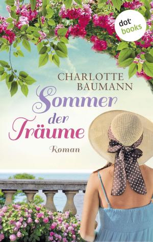 Book cover of Sommer der Träume