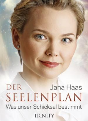 Book cover of Der Seelenplan