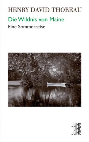 Cover of the book Die Wildnis von Maine by Monika Helfer