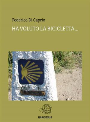 bigCover of the book Ha voluto la bicicletta.... by 