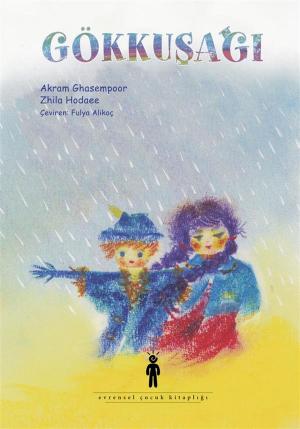 Book cover of Gökkuşağı