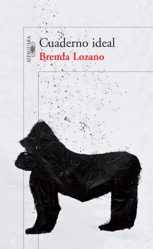Book cover of Cuaderno ideal (Mapa de las lenguas)