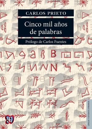 Cover of the book Cinco mil años de palabras by Santiago Ramón y Cajal, Francisco Fuster