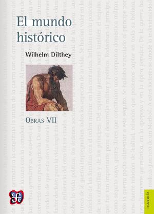 bigCover of the book Obras VII. El mundo histórico by 