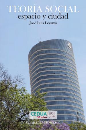 Cover of the book Teoría social, espacio y ciudad by Luzelena Gutiérrez de Velasco, Sergio Ugalde Quintana