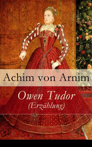 Cover of the book Owen Tudor (Erzählung) by Herman Bang