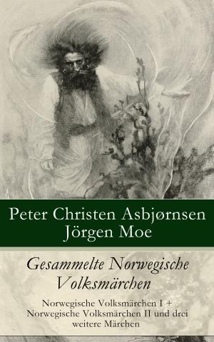 Cover of the book Gesammelte Norwegische Volksmärchen by John R. Coryell