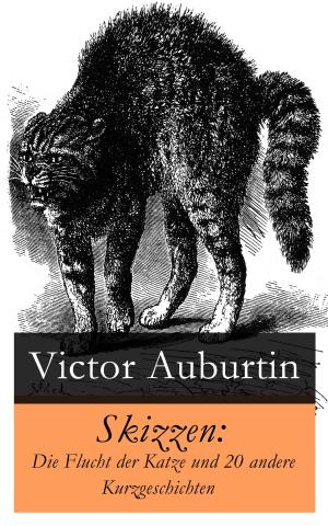 Cover of the book Skizzen: Die Flucht der Katze und 20 andere Kurzgeschichten by Mike Allen