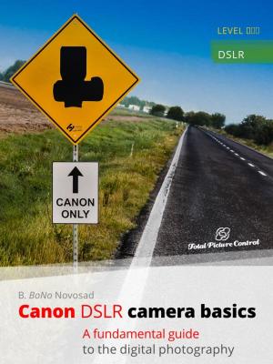 Cover of the book Canon DSLR Camera Basics by JD Lawrence