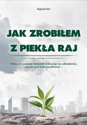 Cover of the book Jak zrobiłem z piekła raj by Wojciech Filaber
