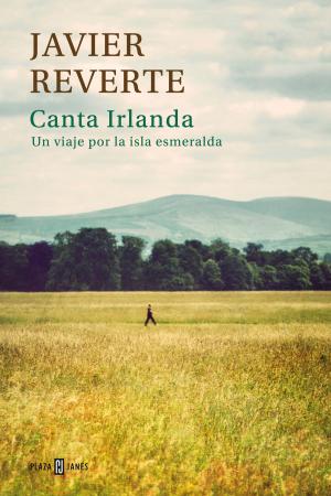 Cover of the book Canta Irlanda by Javier Ruiz