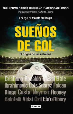 Book cover of Sueños de gol