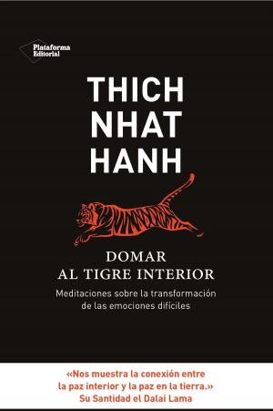 Book cover of Domar al tigre interior