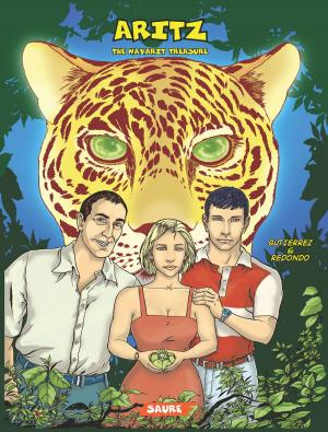 bigCover of the book The Nayarit treasure by 
