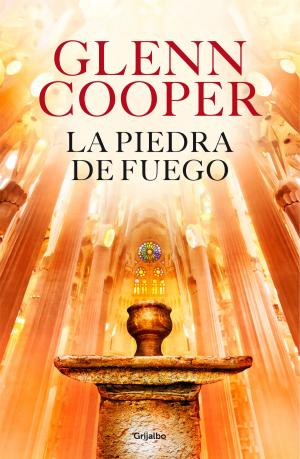Cover of the book La piedra de fuego by Terry Pratchett