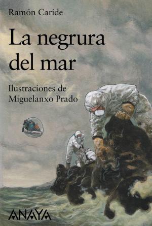 Cover of the book La negrura del mar by Mónica Rodríguez