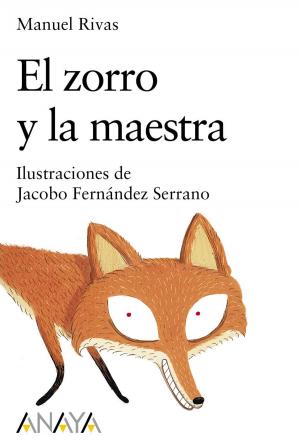 Cover of the book El zorro y la maestra by Vicente Muñoz Puelles