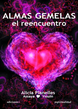Cover of Almas gemelas, el reencuentro