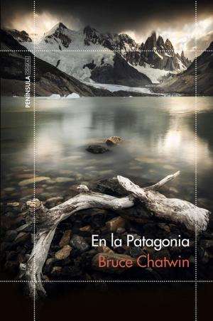 Cover of the book En la Patagonia by Elvira Lindo