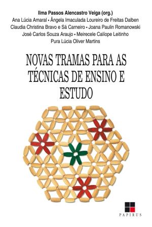 Cover of the book Novas tramas para as técnicas de ensino e estudo by Antonio Flavio Barbosa Moreira