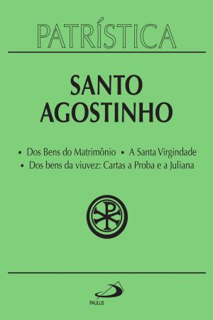 Book cover of Patrística - Dos Bens do Matrimônio | A Santa Virgindade | Dos bens da viuvez: Cartas a Proba e a Juliana - Vol. 16