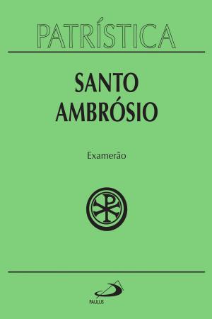 Cover of the book Patrística - Examerão - Vol. 26 by João Pedro Roriz