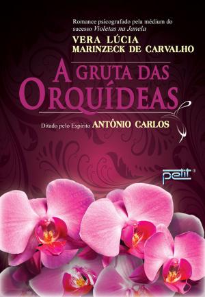 Cover of A gruta das orquídeas