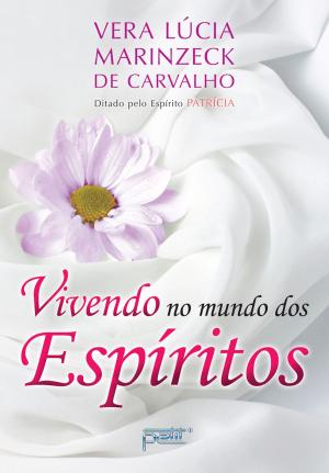 Cover of the book Vivendo no mundo dos espíritos by Alexa Parsons