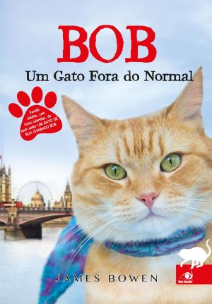 Cover of the book Bob, um gato fora do normal by Cecelia Ahern