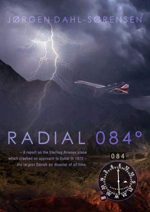 Cover of the book Radial 084° by Heinrich-Martin Thiel