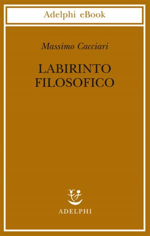 Cover of the book Labirinto filosofico by Emmanuel Carrère