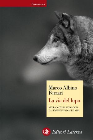 Book cover of La via del lupo