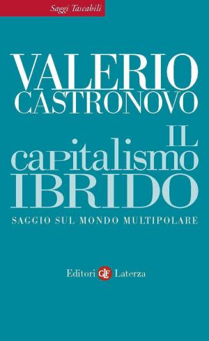 Book cover of Il capitalismo ibrido
