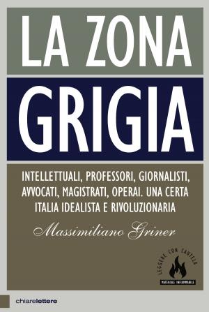 Cover of the book La zona grigia by Riccardo Iacona