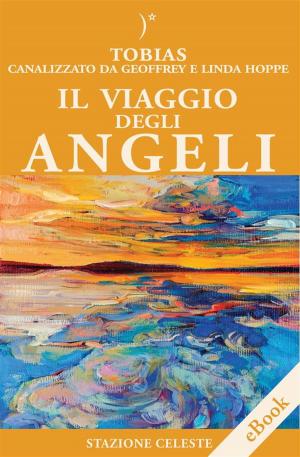 Cover of Il Viaggio degli Angeli