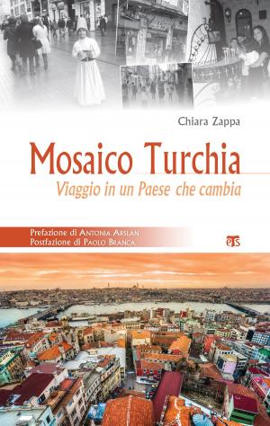 Book cover of Mosaico Turchia