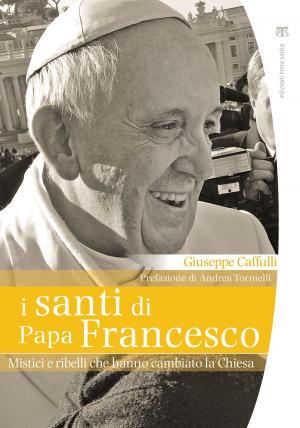 Book cover of I santi di papa Francesco