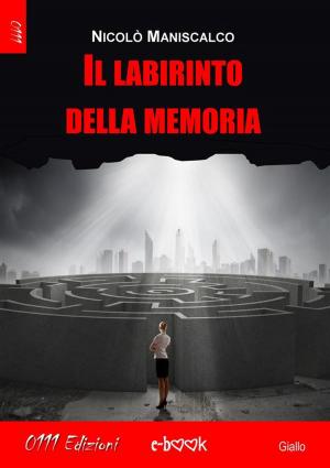 Cover of the book Ira. Oblio - Serie I Sette Peccati Capitali ep. 2 by Riccardo Bianco Mengotti