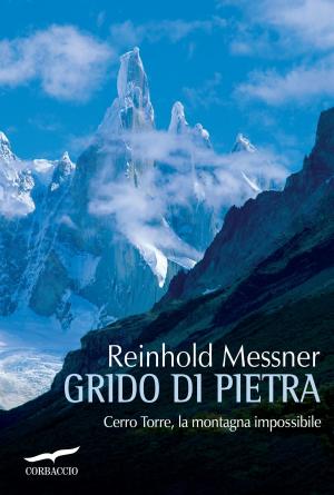 Book cover of Grido di pietra