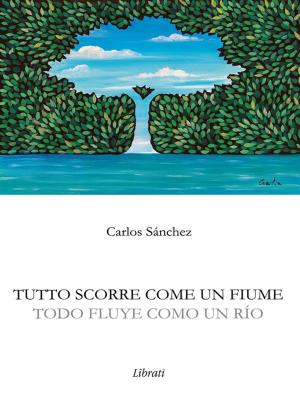 Cover of the book Todo fluye como un río by Luca Capponi, Tuco Ramirez