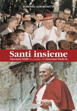 Cover of the book Santi insieme by Francesco Occhetta, Emilia Silvi, Jean-Luc Vecchio
