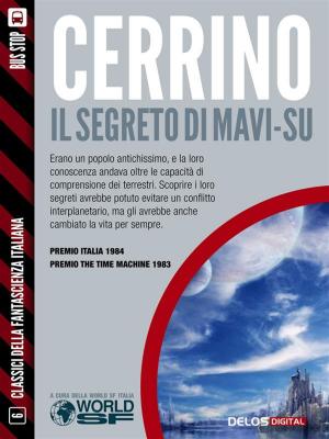 Book cover of Il segreto di Mavi-Su