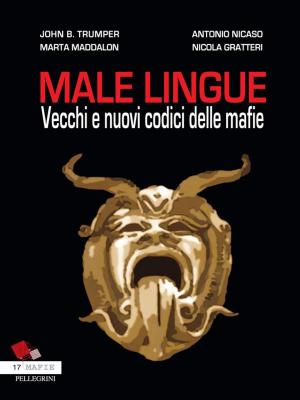 Cover of the book Male Lingue by Chiara Sebastiani
