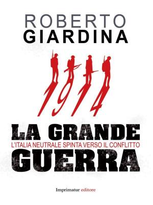 Cover of the book 1914 la grande guerra by Gualtiero De Santi