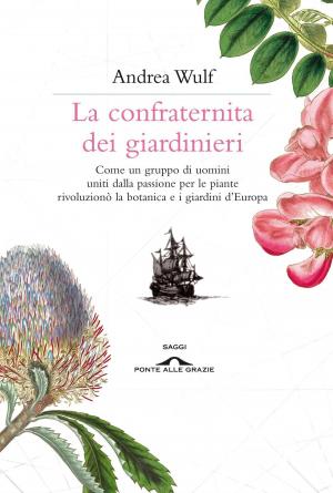 Cover of the book La confraternita dei giardinieri by Noam Chomsky, Ilan Pappé