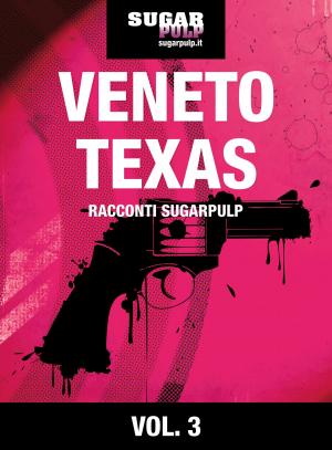 Cover of the book Veneto, Texas by Stefan Heidenreich