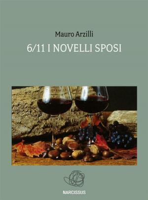 Book cover of 6/11 I Novelli Sposi