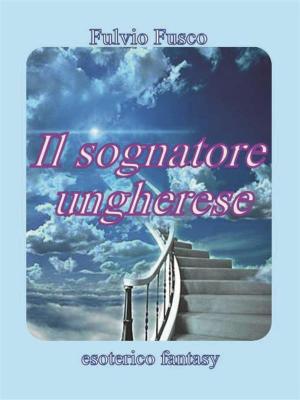 Cover of the book Il sognatore ungherese by Zachary Brown