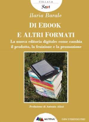 Cover of the book Di Ebook e Altri Formati by JR MacGregor